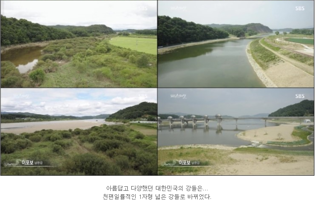 22조 들어간 4대강이 완전히 실패한 사업인이유 | 인스티즈