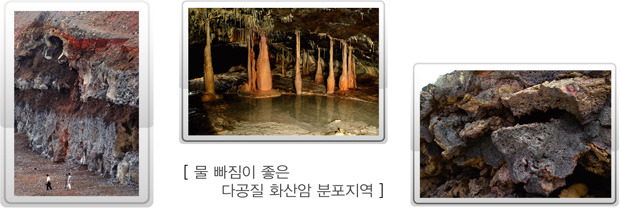 제주도 물 | 인스티즈