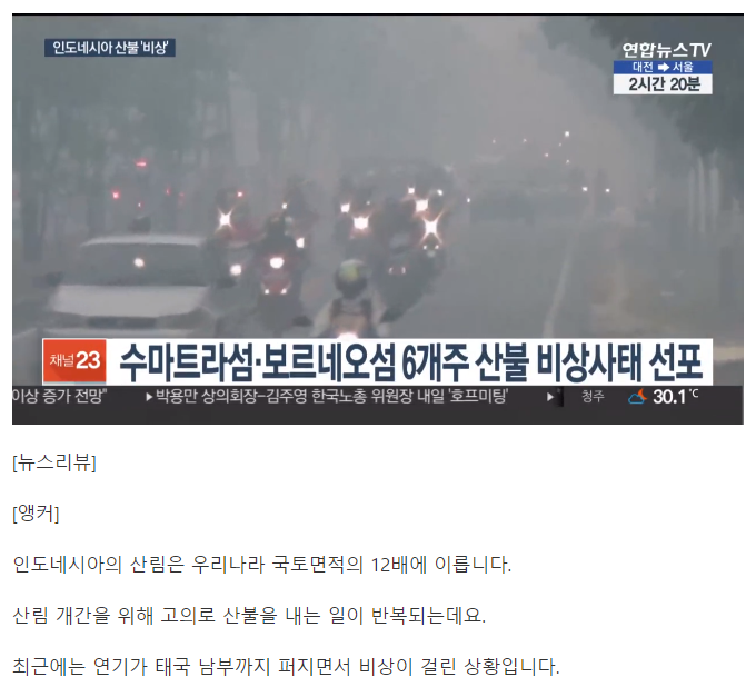 아마존에 이어 인도네시아 산림지대 대형화재 | 인스티즈