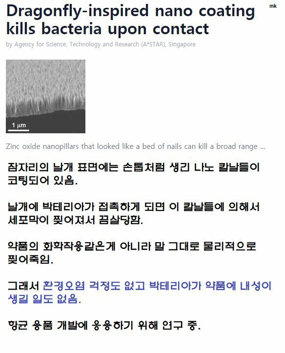 잠자리 날개가 까끌한 이유 | 인스티즈