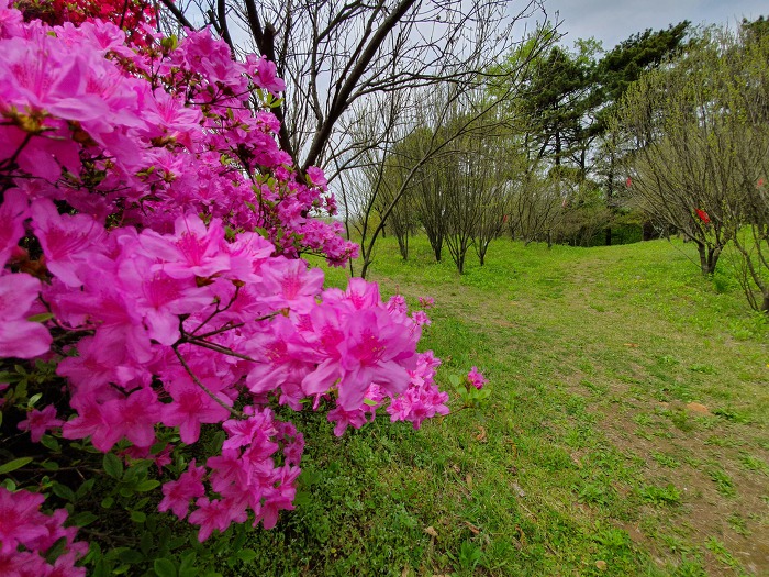 99BA46345CC64FF1191F02