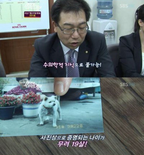 세상에 이런일이에 나온 강아지 나이 | 인스티즈