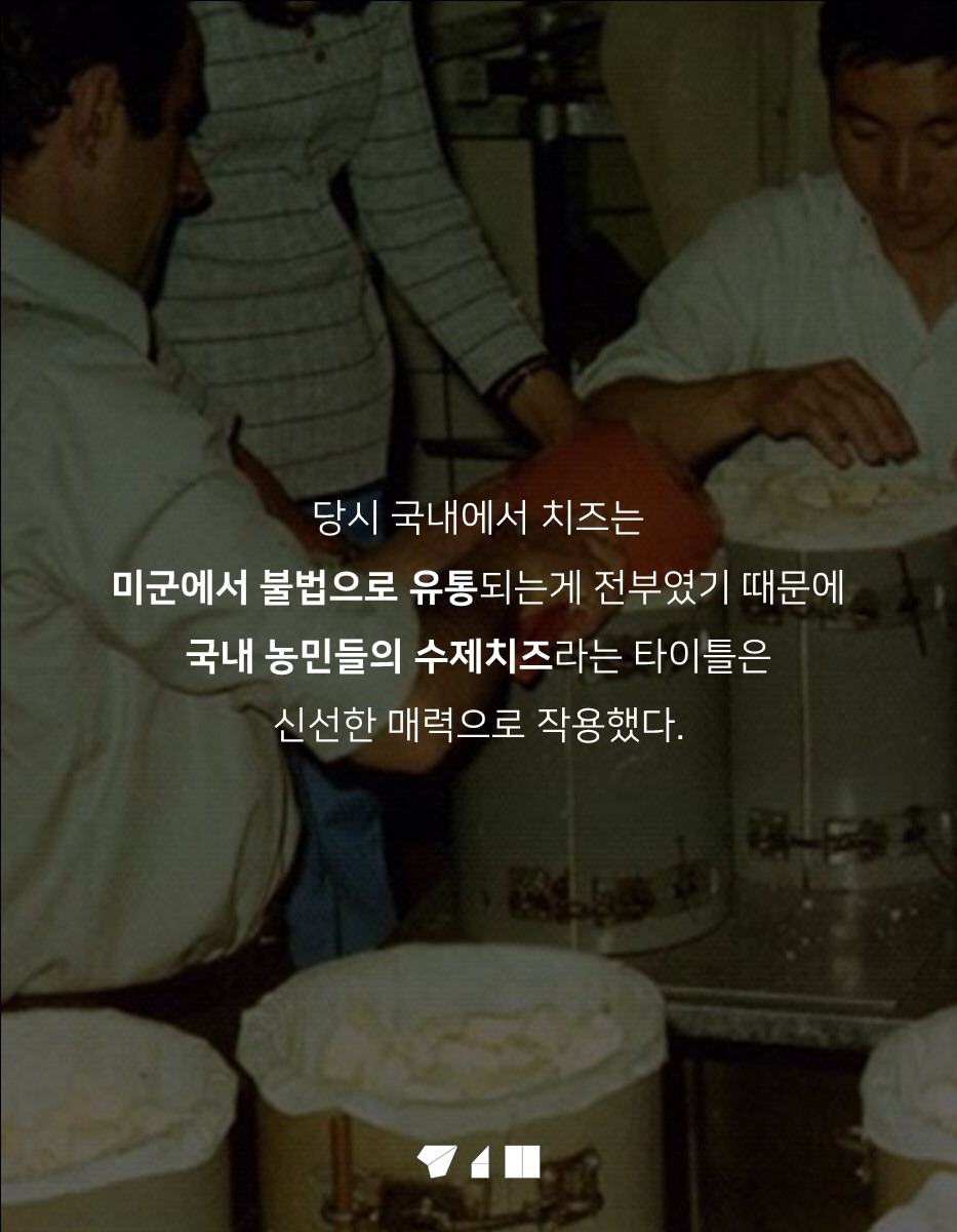 대한민국 치즈의 숨겨진 비밀 | 인스티즈