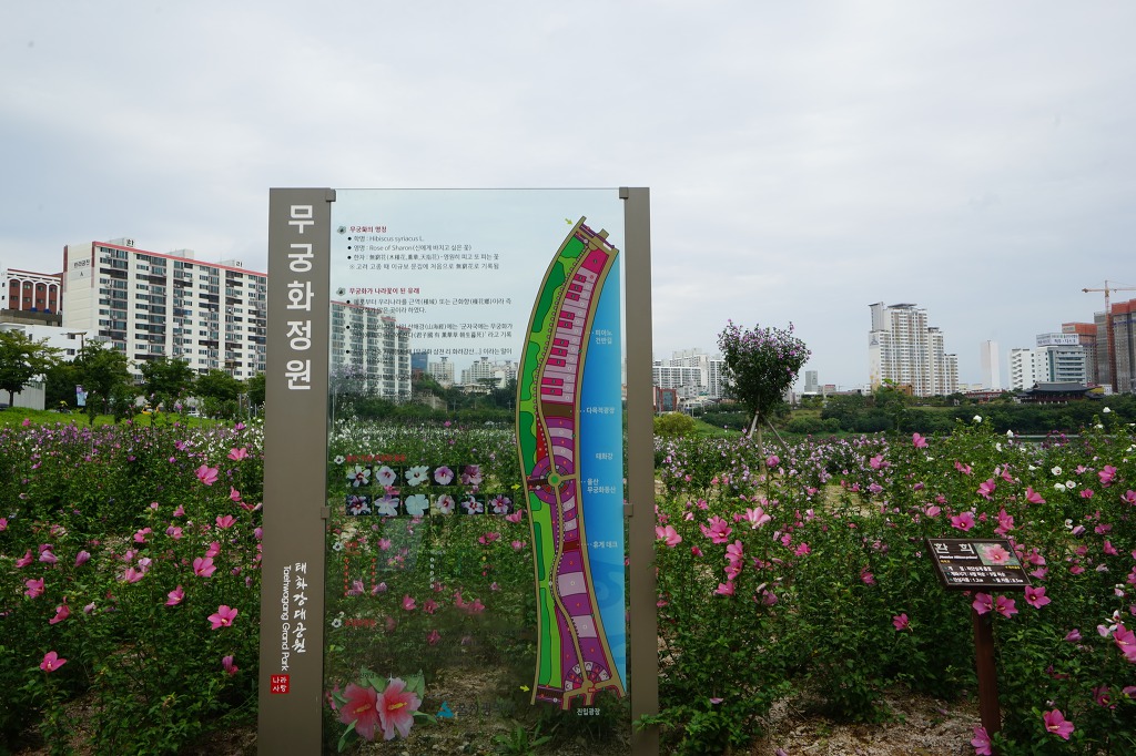 해파랑길 7코스 이미지