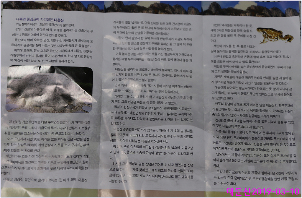 대둔산힐링센터 이미지
