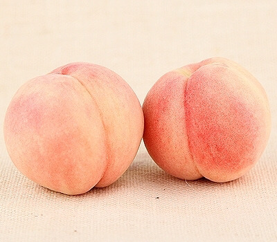탱글탱글 복숭아 🍑 🔞 | 인스티즈