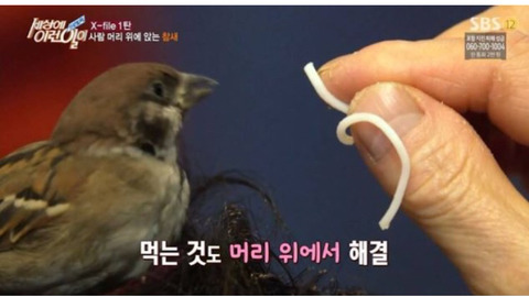 새상에 이런일이 3대 레전드.jpg | 인스티즈