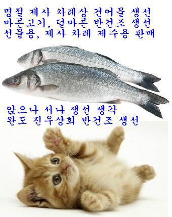 완도상회 이미지