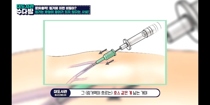 [대도서관] 링거의 진실 (처음 아는 사람 있을 수 있음 주의 나도 처음 앎) | 인스티즈