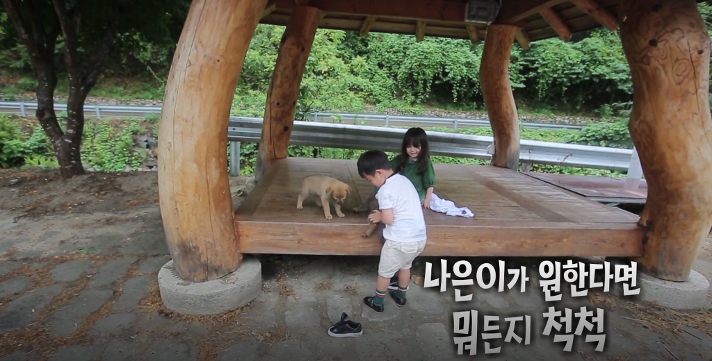 올만에 연애물로 장르바꾸고 출연하는 시안이(와 나은이).jpg | 인스티즈