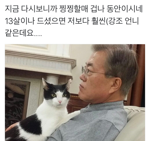 찡찡이가 열세살 할머니라는 것을 알게된 사람들 | 인스티즈