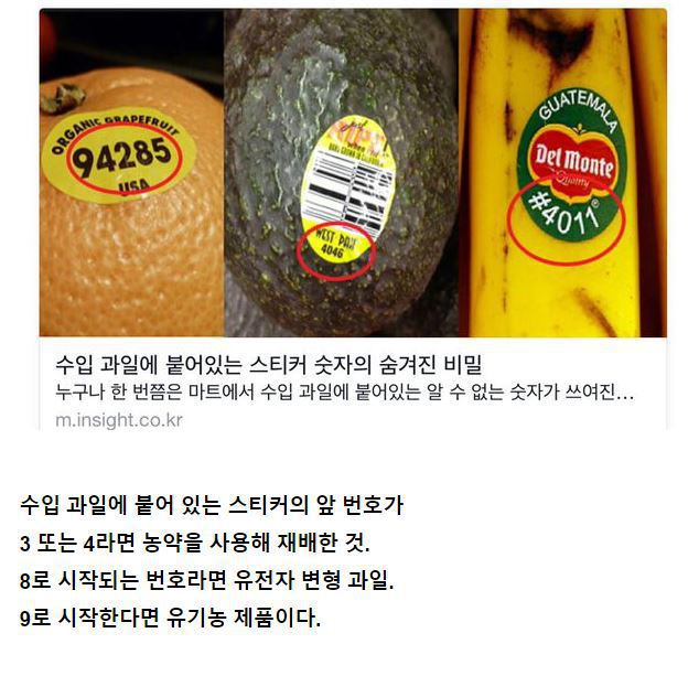 과일 숫자의 비밀 | 인스티즈