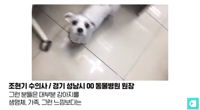 폭염 속 버려진 똘똘이가 모니로 개명한 사연 | 인스티즈