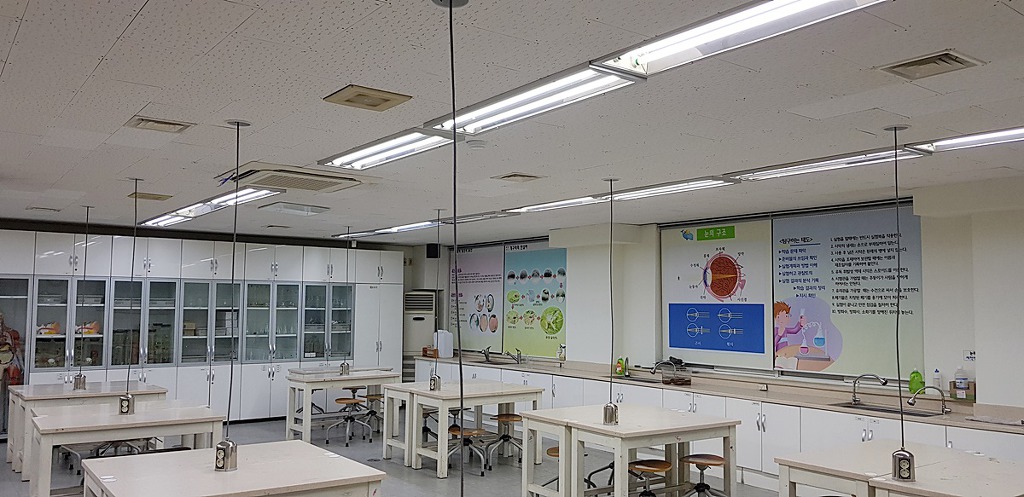장성중학교 이미지