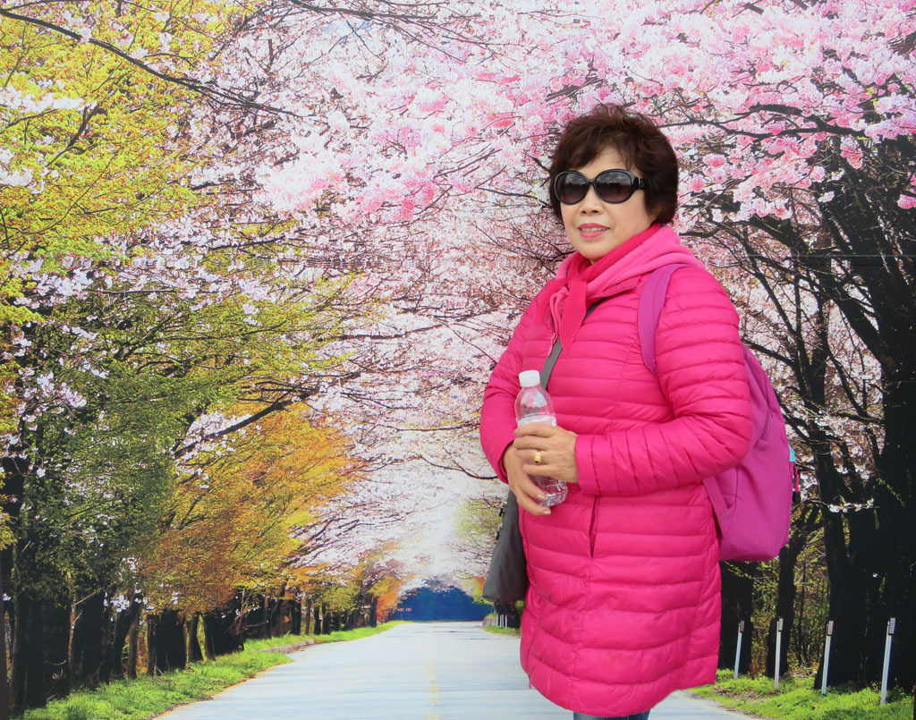 노래열차 이미지