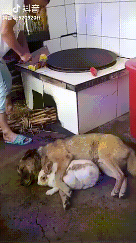이해할수없는 상황.gif | 인스티즈