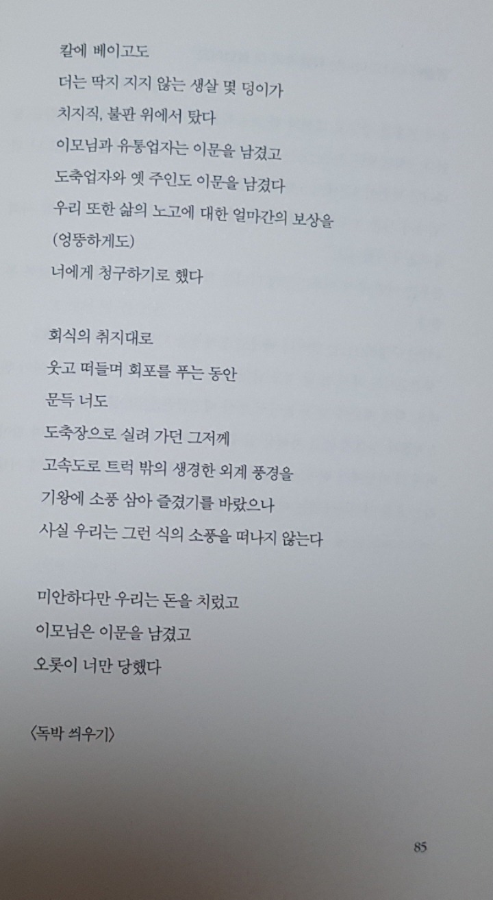도축장 가는 길에서 태어난 강아지 | 인스티즈