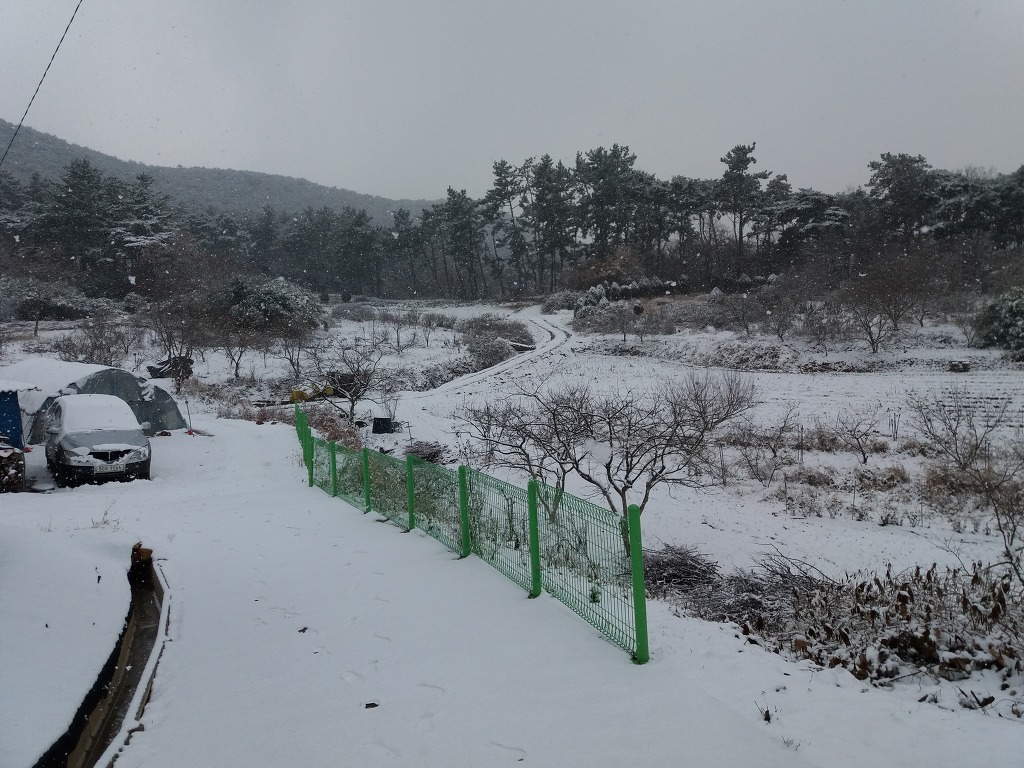 대봉석유 이미지