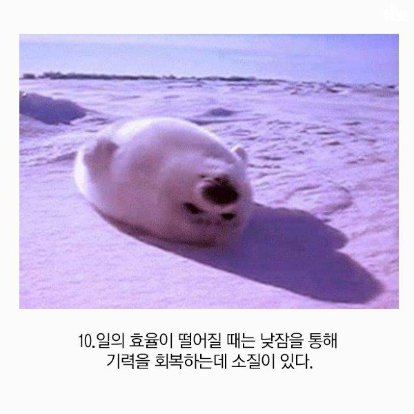 게으른 사람이 점점 똑똑해질 수 밖에 없는 이유 | 인스티즈