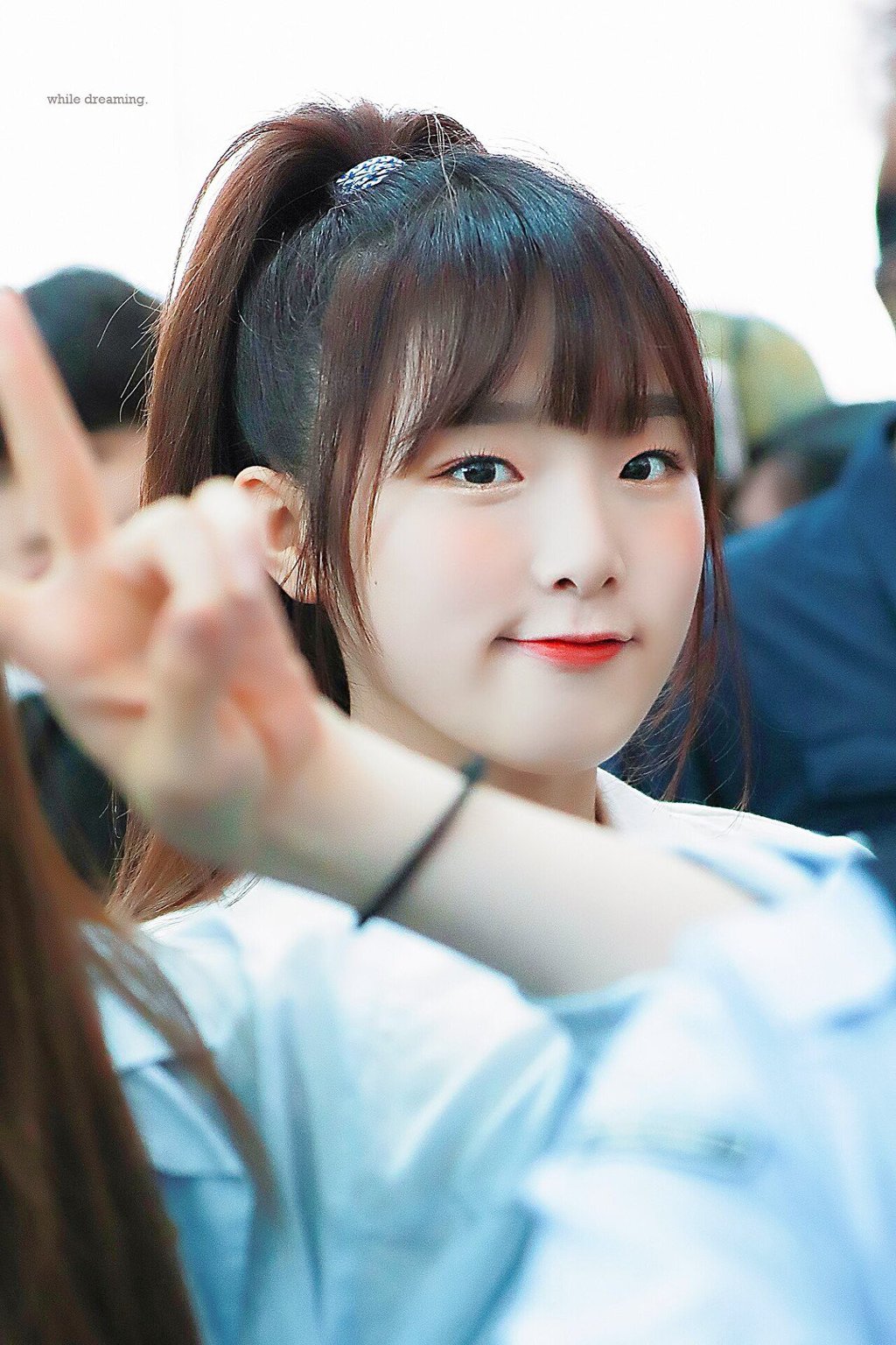 새롬 이미지