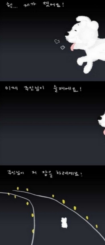 버림받은 강아지의 마음 | 인스티즈