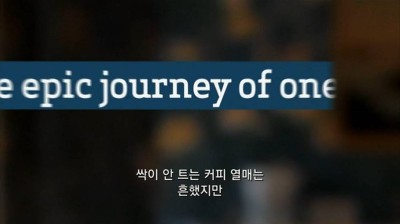 우리가 커피를 값싸게 먹을수 있는 이유 | 인스티즈